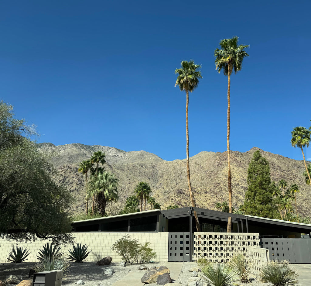 +Beryll Travel Series: Palm Springs